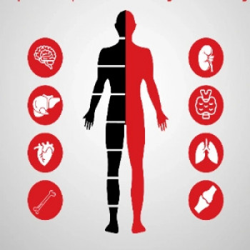 Full Body Checkup - Essential (64 parameters included)
